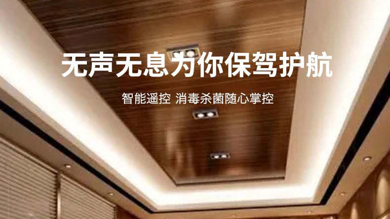 等離子空氣凈化消毒器 等離子空氣凈化消毒器