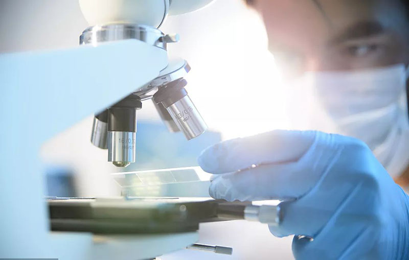 1733878974392032.jpg 0.jpg