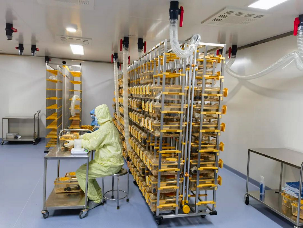 1734504529525973.png 31.png